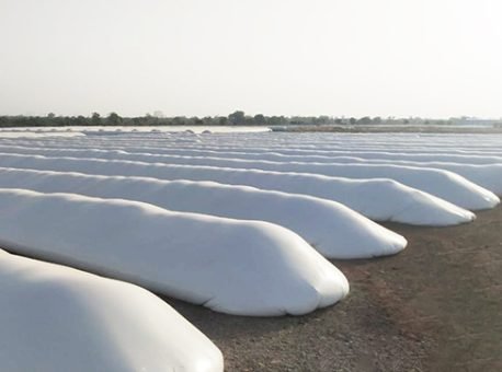 Silo-Bags